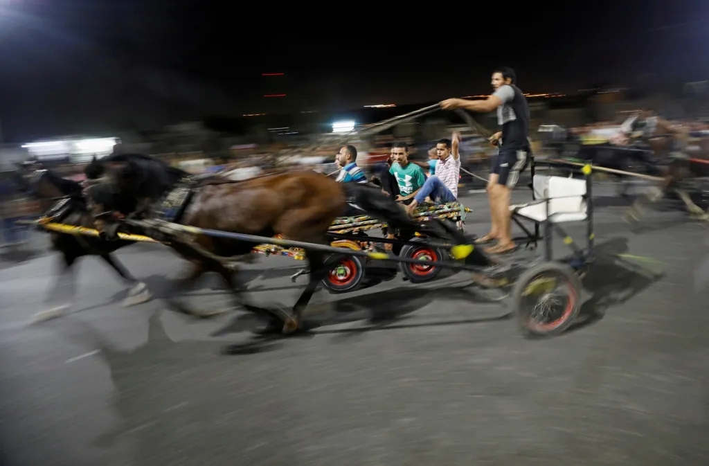 Závody koňských spřežení si zorganizovali místní obchodníci přímo v ulicích hlavního města Egypta Káhiry