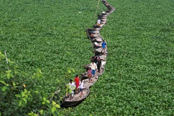 Papír z hyacintu? Studentka bojuje proti invazní rostlině geniálním nápadem