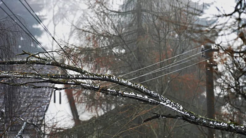 Popadané větve a kmeny stále působí v jižních Čechách problémy energetikům