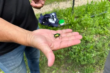 Unikátním ekosystémem Pražského hradu se zabývali přírodovědci