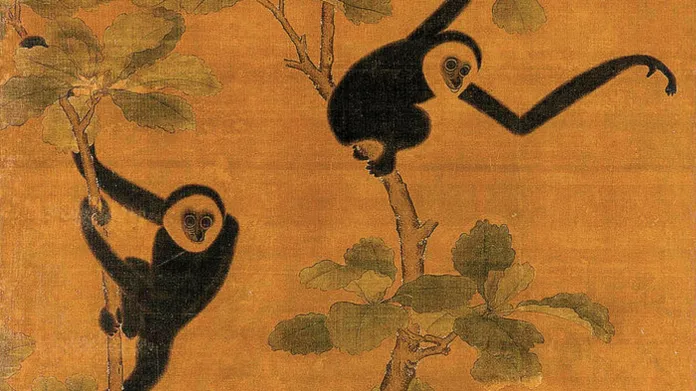 Giboni byli často na čínských středověkých obrazech