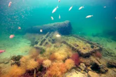Archeologové identifikovali vrak otrokářské lodi, která převážela Maye