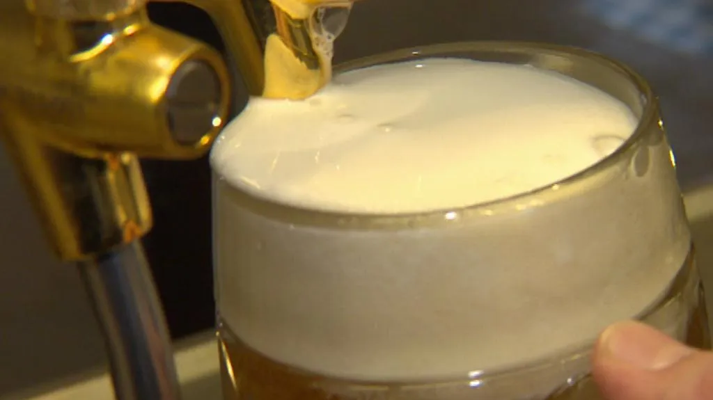 Pivo