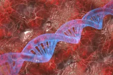 Vědci představili nejúplnější a nejrozmanitější soubor lidských genomů