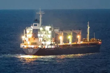 Українська аграрна рада про експорт зерна