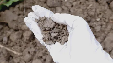 Ilustrační fotografie