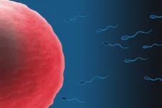 Lidské sperma je plné pesticidů. Francouzští vědci v něm odhalili glyfosát