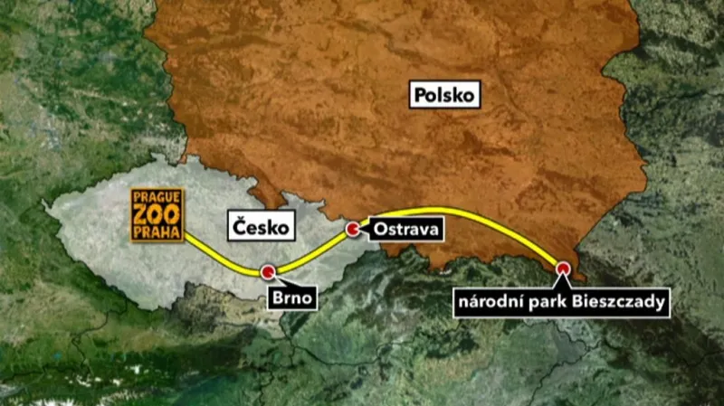 Cesta pražských zubrů do Polska