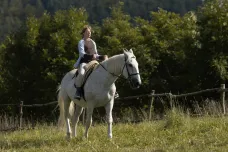 Alice Nellis posílá do kin koně jménem Buko se zprávou, že se lze radovat ze života