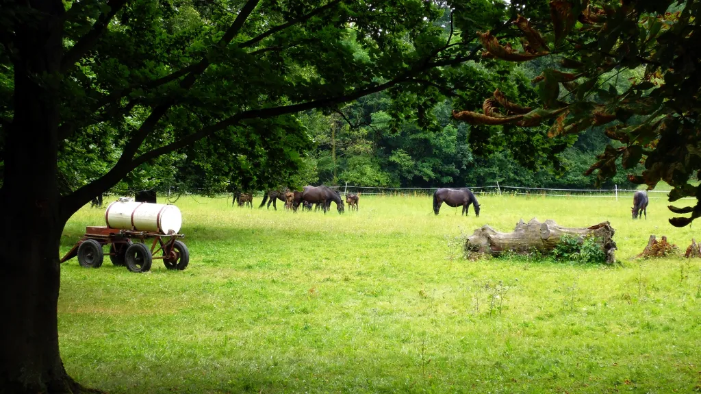 Slatiňany už více než 60 let patří koním