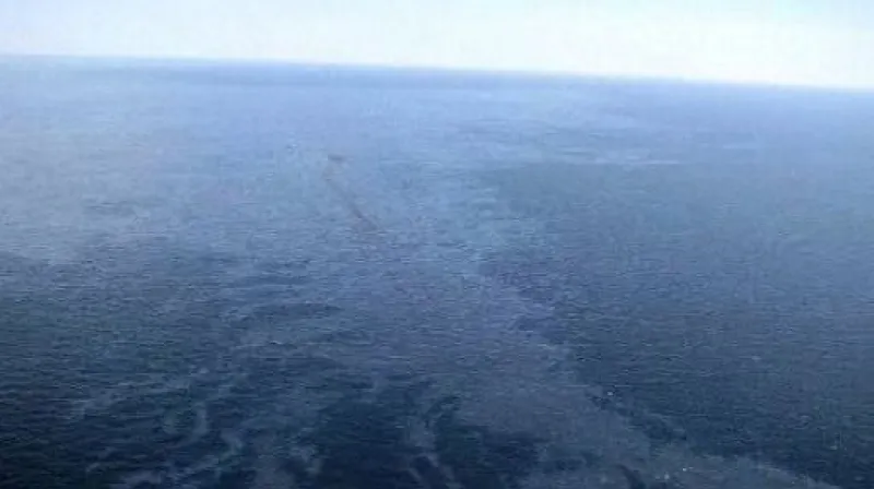 Reportáž Petry Flanderkové