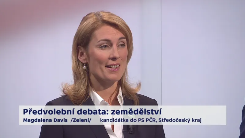 Davis, Jurečka, Faltýnek, Holík, Váňa, Zahradník, Pavera a Kováčik o privatizaci Budvaru