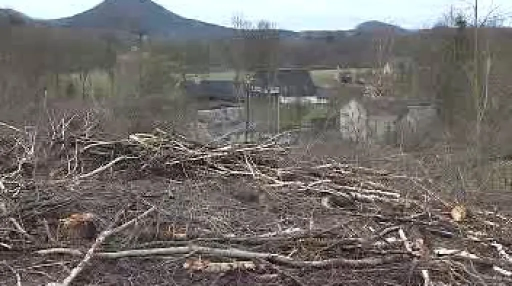 Vykácené dřevo na českolipsku