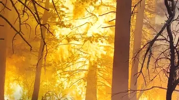 V kalifornském San Bernardinu bojují s lesními požáry