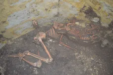 Objev u Mutěnic na Hodonínsku archeologům připomíná Řbitov zviřátek