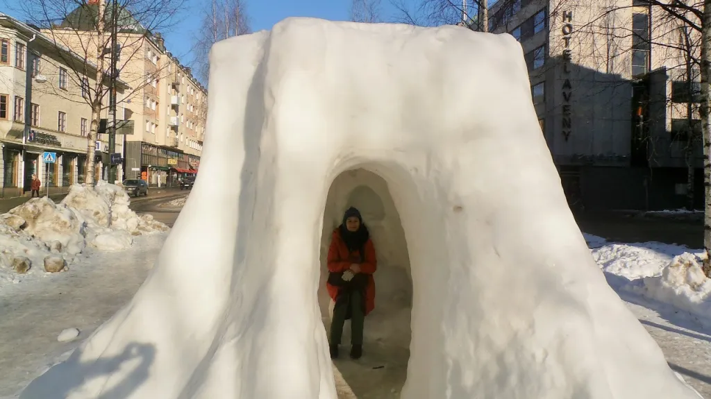 Flétnistka Žofie v soše pařezu