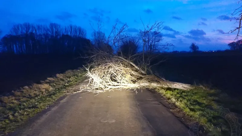 Padlý strom na silnici