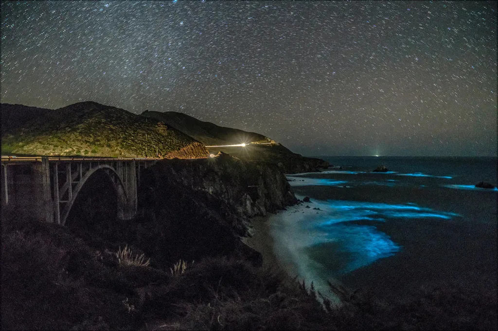 Bioluminiscenční fytoplankton v pobřežních vodách kalifornské oblasti Big Sur