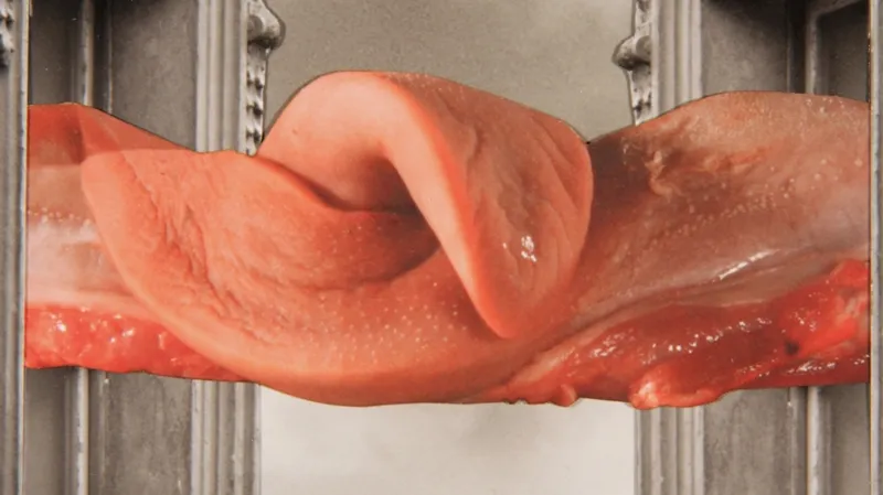 Přežít svůj život