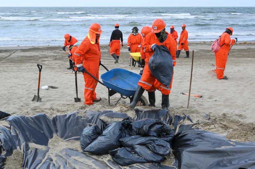 Tým dělníků, které si státní ropná společnost Pemex najala na čištění černých ropných skvrn z pláží. Ropa dosáhla laguny Ostion ve Veracruzu, oblasti rozmnožování ryb, krevet a škeblí. Koalice Gulf of Mexico Reef Corridor Network vyjádřila obavy ohledně nedostatku informací o škodách na volně žijících živočiších a varovala, že pobřežní ekosystémy musí být rychle vyčištěny před zahájením hnízdní sezony mořských želv v dubnu