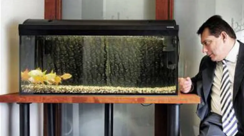 Reportáž Petry Schubertové