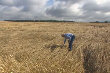 Do půlky srpna budou letos tropická horka vzácná. Průměrně bývá jeho první týden nejteplejším obdobím roku