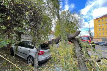 Českem se prohnal silný vítr, ve středních a východních Čechách vyhlásil ČEZ kalamitu