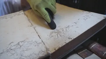 Brouci ničí maďarské historické spisy