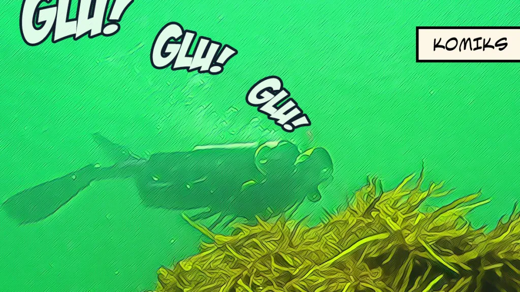 Boj s úhynem chaluh