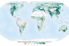 Planeta Země je zelenější než před 20 lety. Vděčí za to hlavně Číně a Indii, prozradila NASA