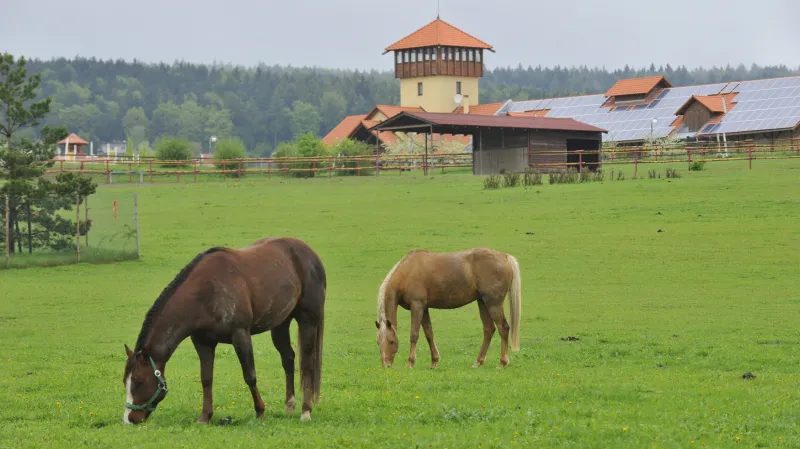 Farma Bolka Polívky