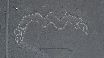 Had požírající člověka na planině Nazca - vylepšená fotografie