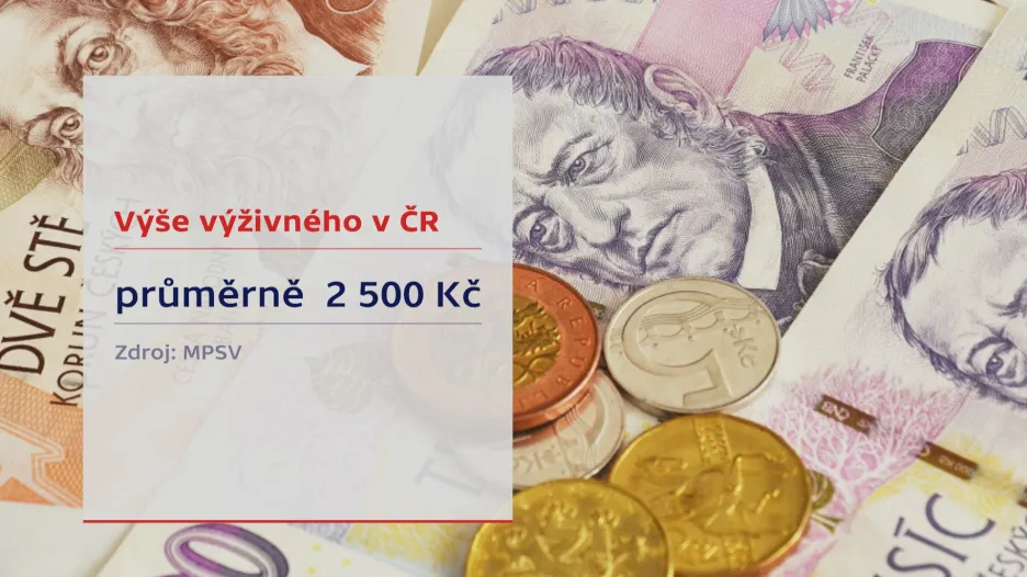 Výše výživného v ČR