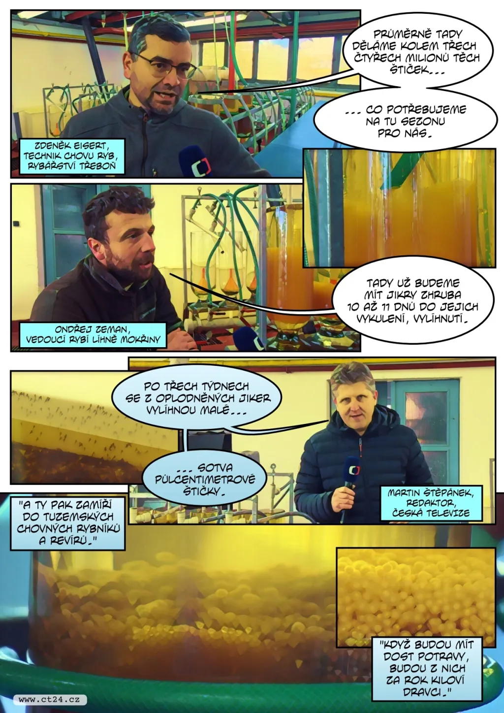 Rybáři na jihu Čech v líhních uměle vytírají štiky