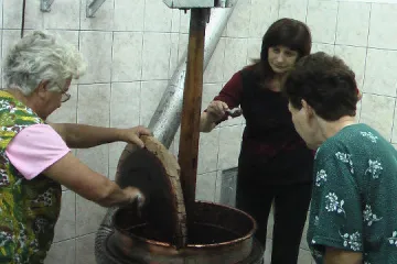 AVÍZO: Košt trnek v Louce