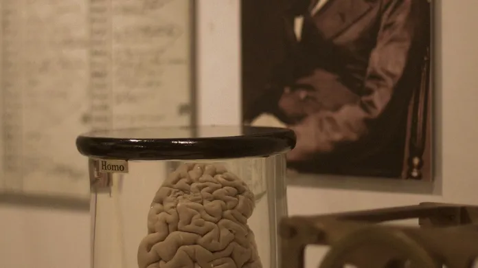Charles Babbage neodkázal vědě jen svůj počítač, ale také mozek - je k vidění v londýnském Science Museum