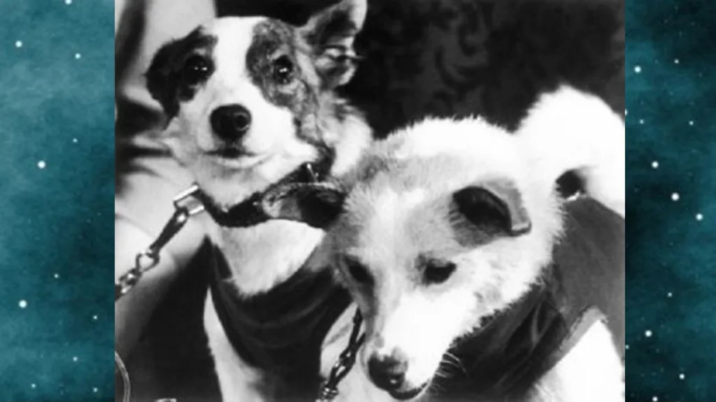 Strelka a Belka