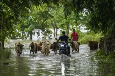 Severovýchod Indie sužují silné deště a záplavy