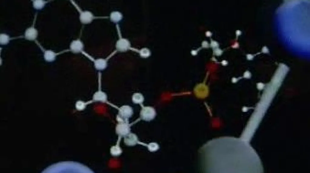DNA