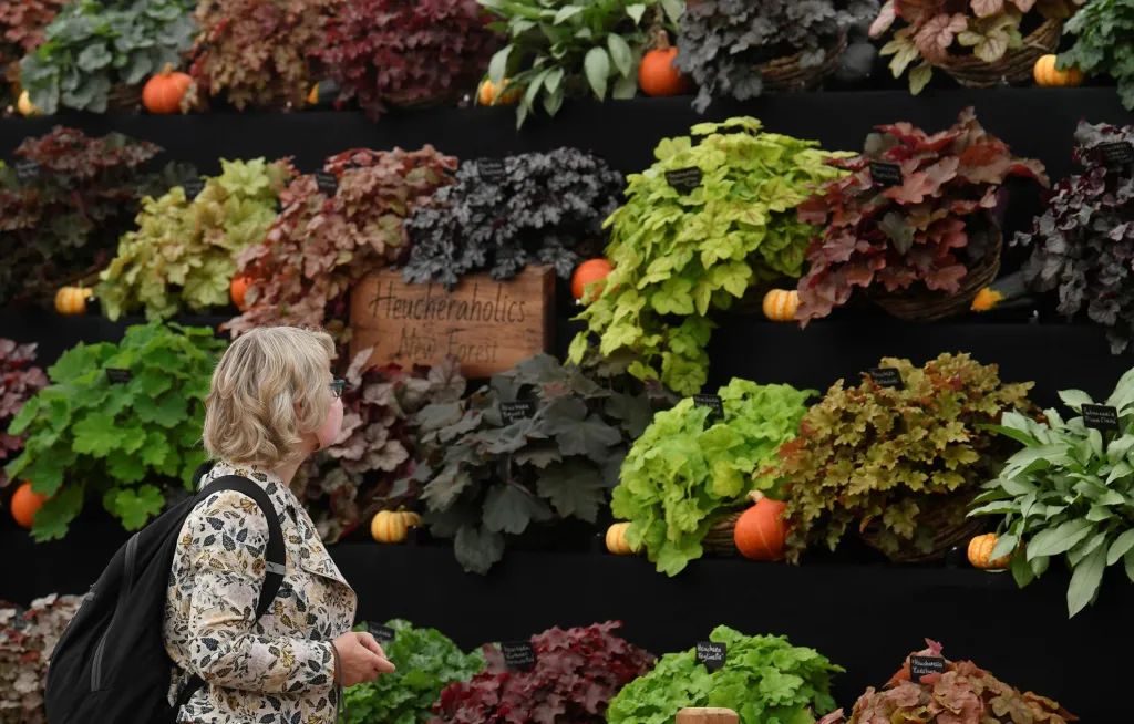 Přehlídka pěstitelů květin, floristů a aranžérů Chelsea Flower Show v Londýně nabízí milovníkům zahrad tu nejzajímavější podívanou ve Velké Británii