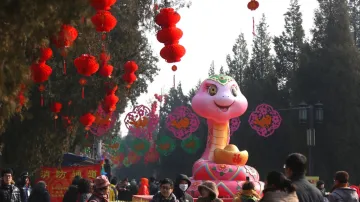 Oslavy čínského Nového roku
