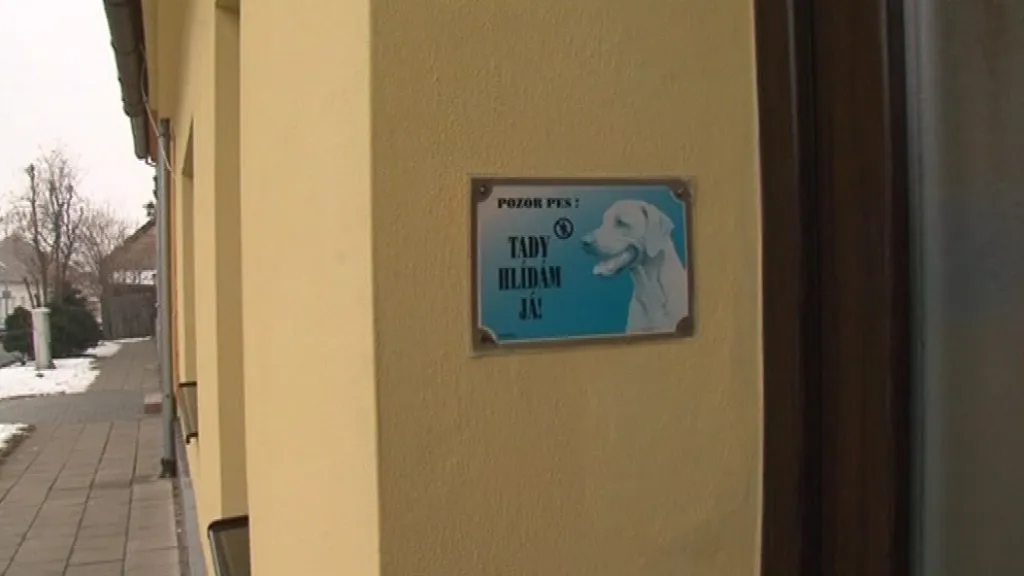 Zloděje může odradit pes v domácnosti