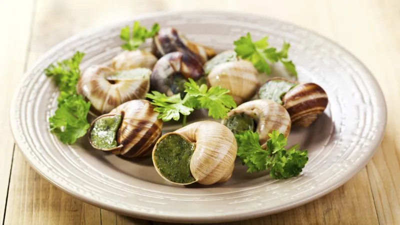 Šneci jako pochoutka