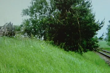 Bujná vegetace brání strojvedoucím v rozhledu