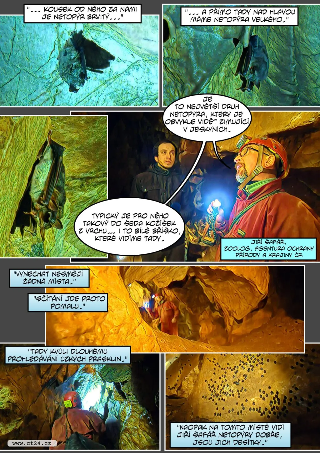 Zoologové zaznamenali rekordní počet netopýrů