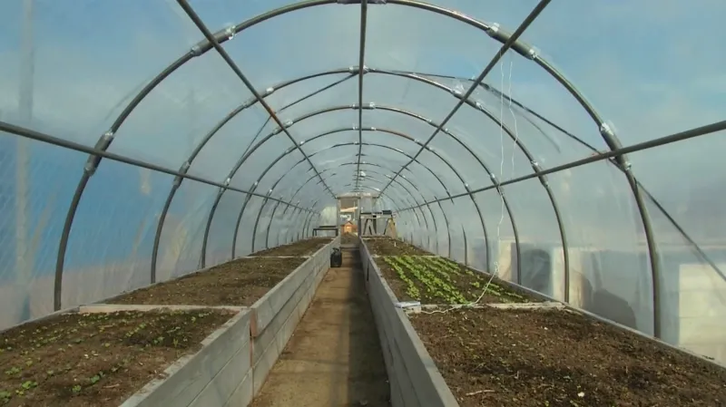 Městská farma v Göteborgu