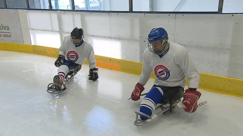 Čeští parahokejisté