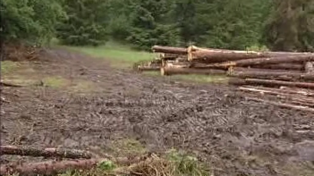 Poškození životního prostředí v Boleticích