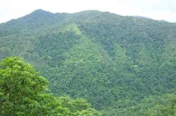 Světová ekonomika ztrácí více peněz ničením přírody než současnou krizí