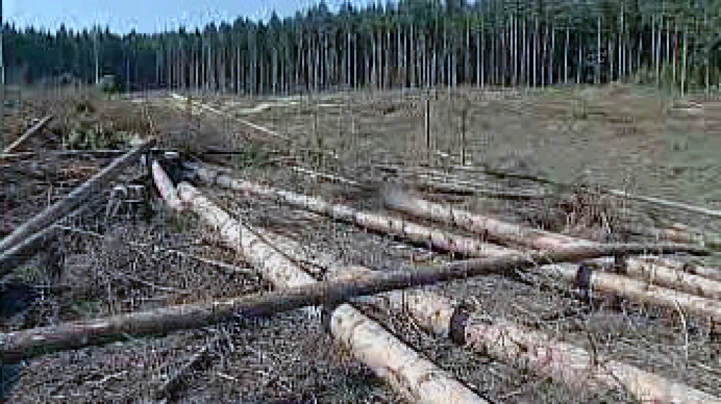 Krkonošskoé mýtiny